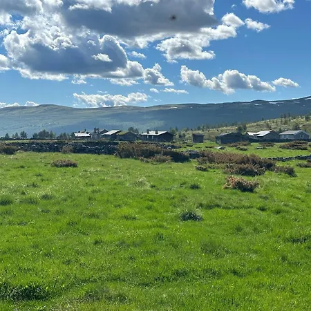 Sits In The Middle Of Reinheimen And Dovrefjell Rondane Holiday home Dombas